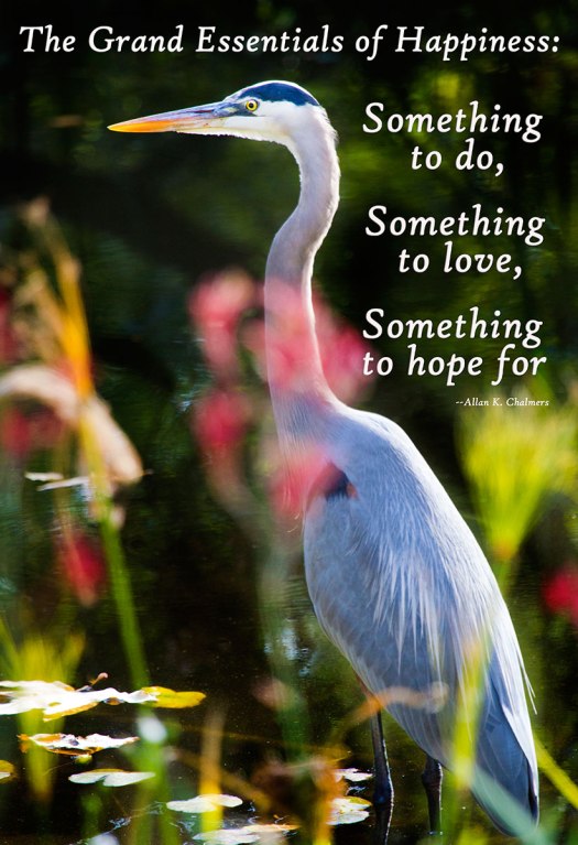 Grand-essentials-for-happiness